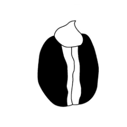 notification icon